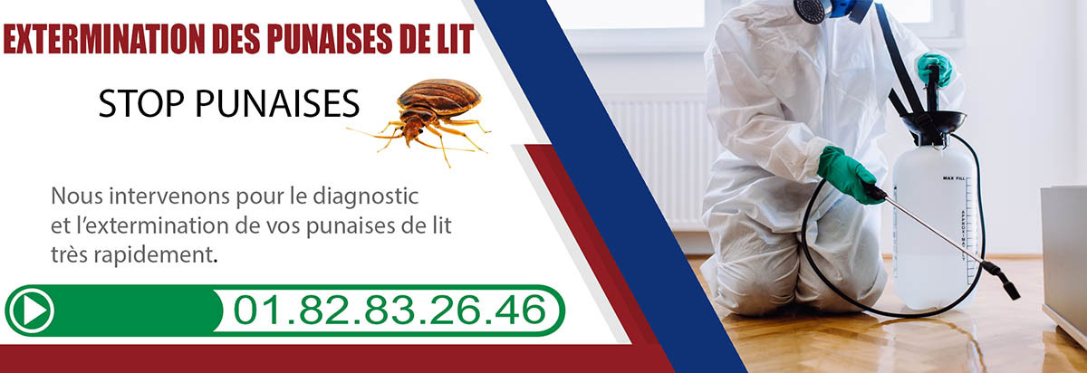 Punaises de lit Puteaux 92800